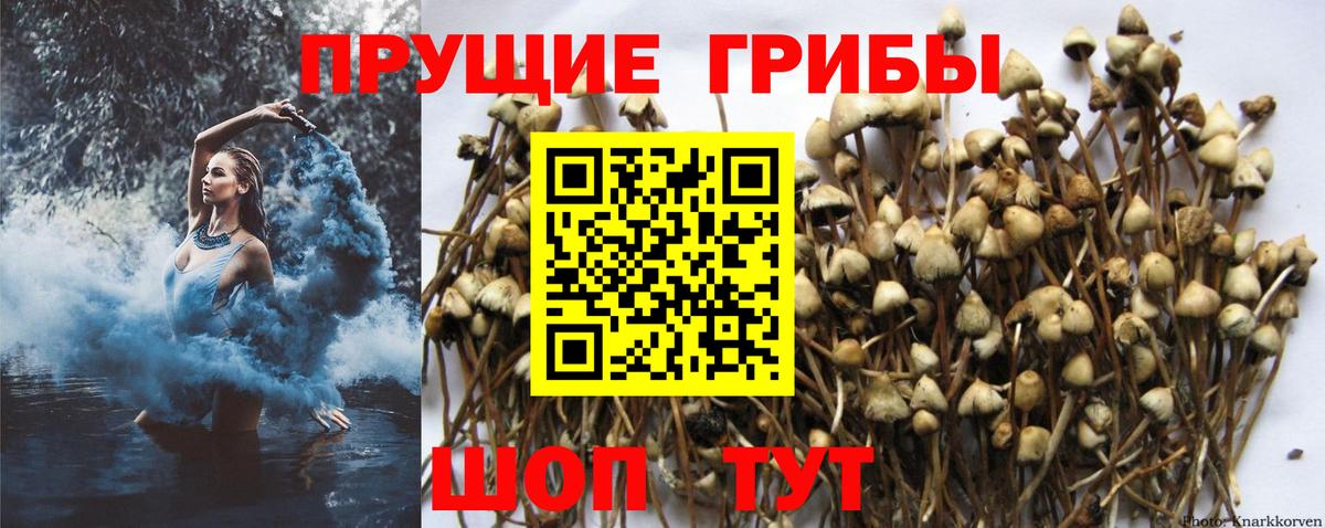 Псилоцибиновые грибы Magic Shrooms Нижнекамск